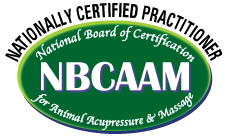 NBCAAM Logo